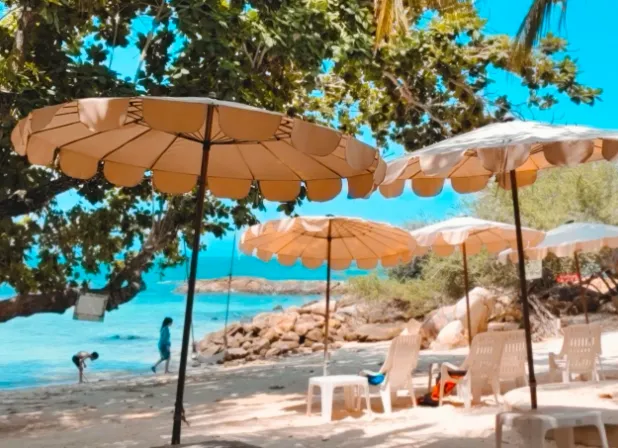 曼谷+芭提雅｜7天5晚奢享之旅+3晚五钻+2晚温德姆｜ 5-7月1580元/人起+5大泰式美食不重样+享骑大象/泰服换装/象雅岛出海/LV咖啡厅限定体验