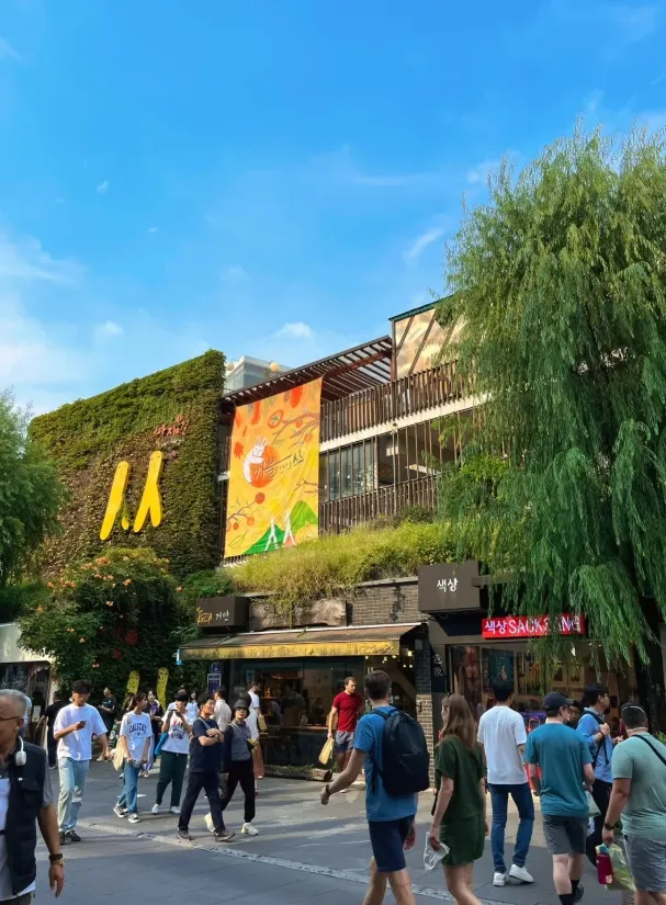 ce559d704b2053bbfdbe2598c7e10922-sz_385157