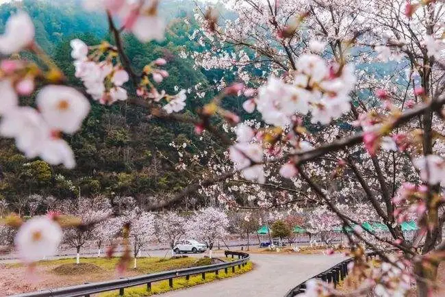 ce6fd43e9fae907b0f29a908f02fcee9-sz_72871