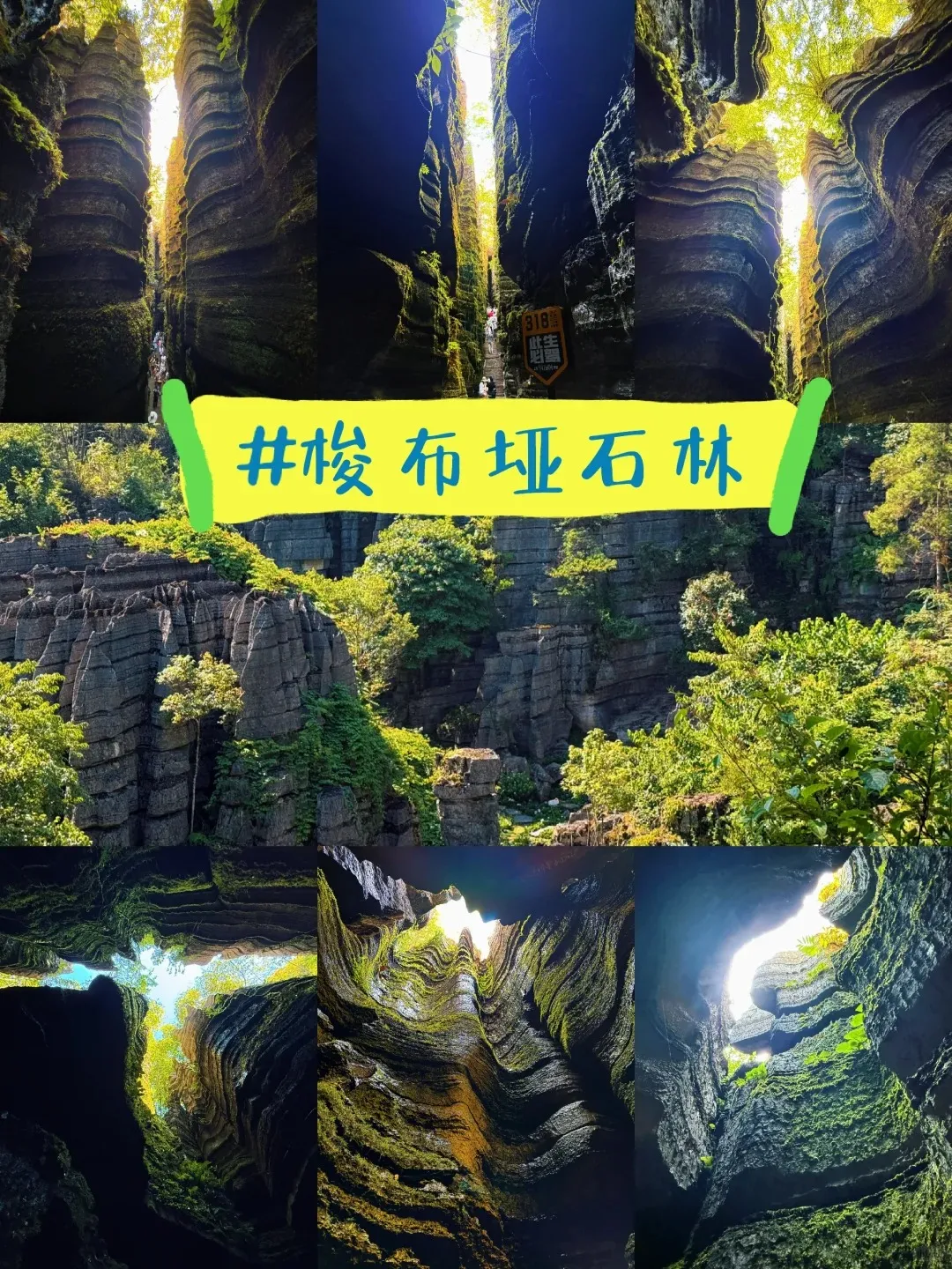 ce7d8fccb60f4bcab321a5415f832c36-sz_633419