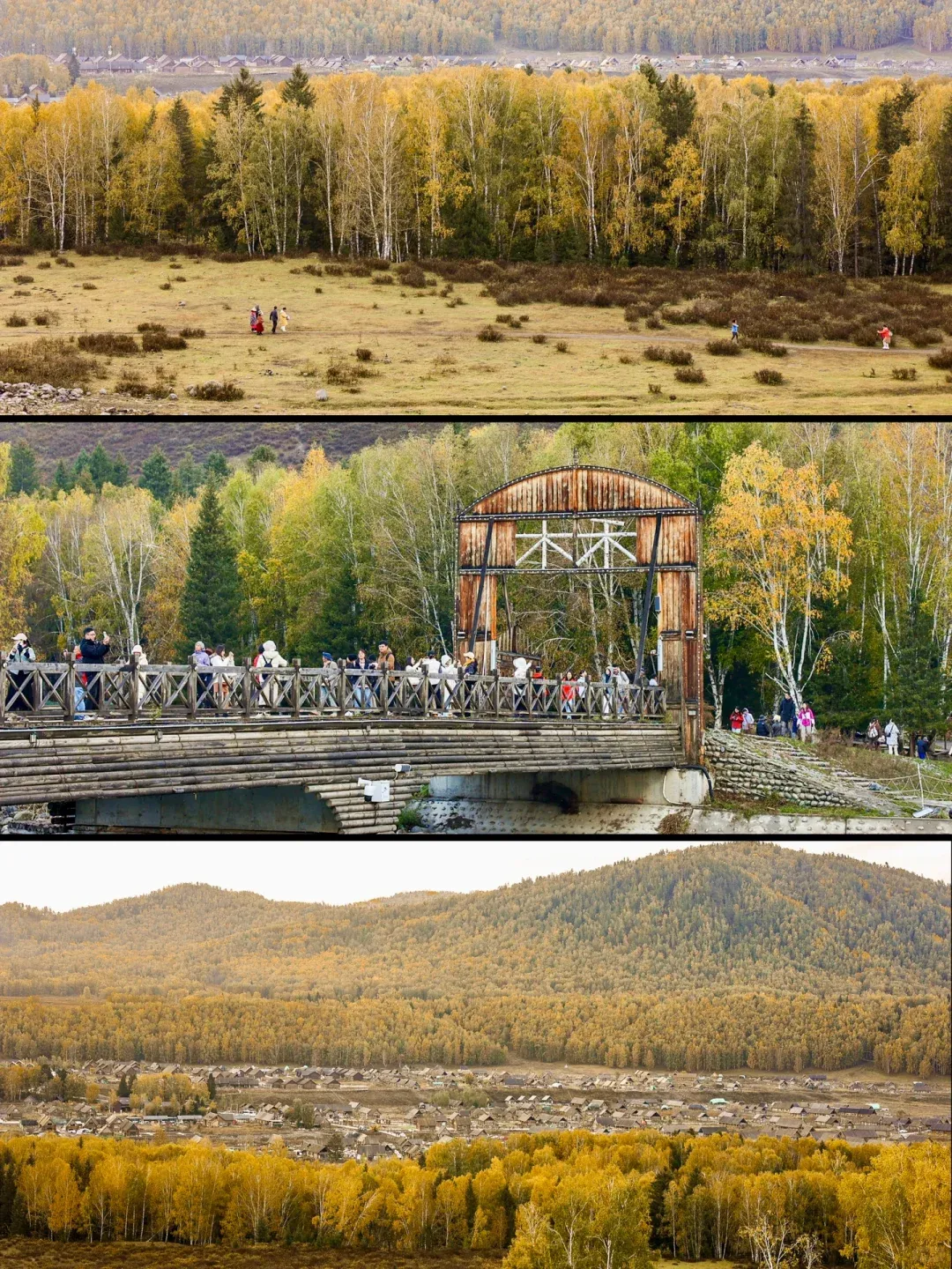 cf4e4860948bcb7a4e9cbfdf003f3096-sz_4079978