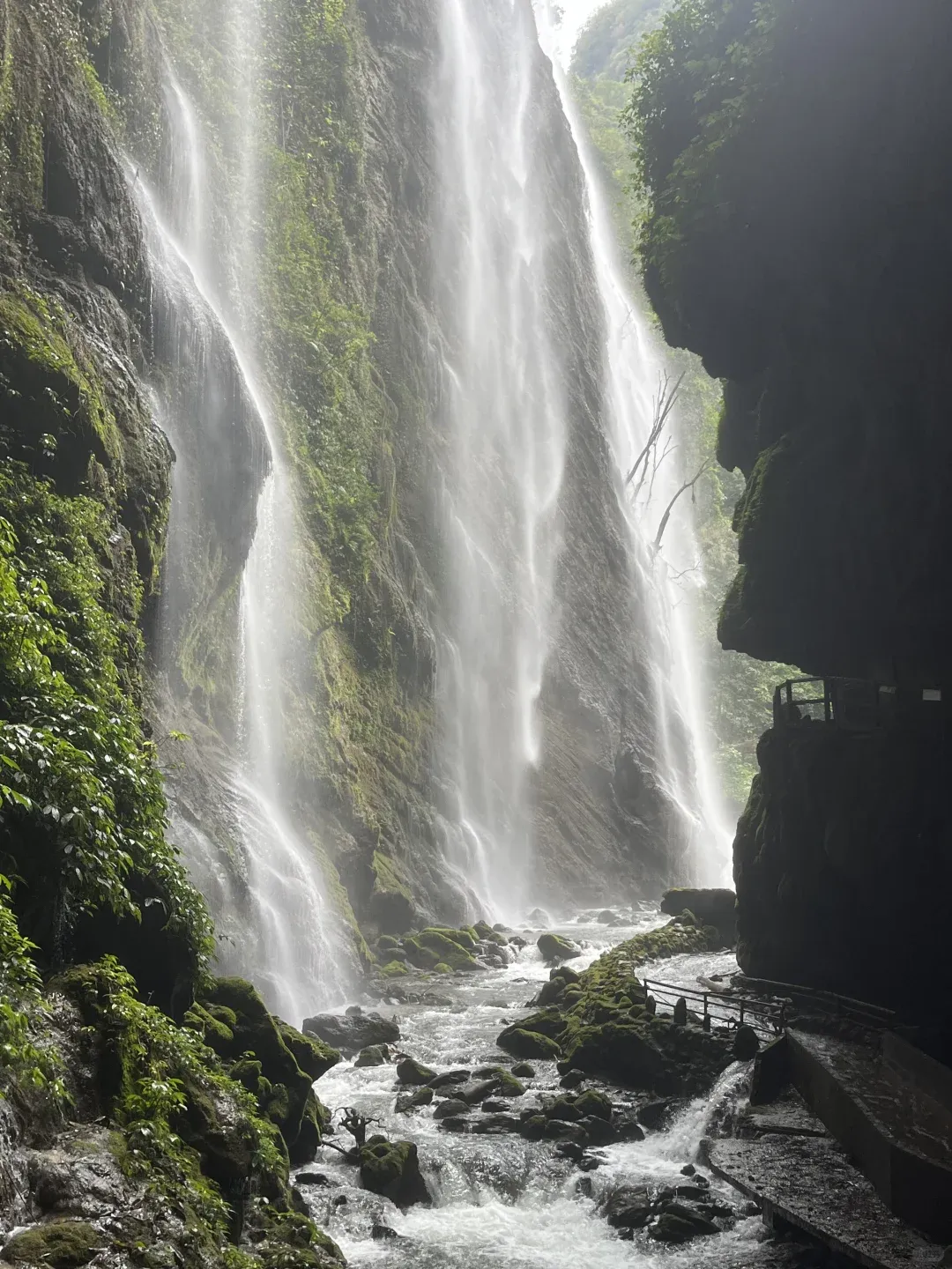 cf7bd1b1b5cd592c771a24a93664453c-sz_2842205