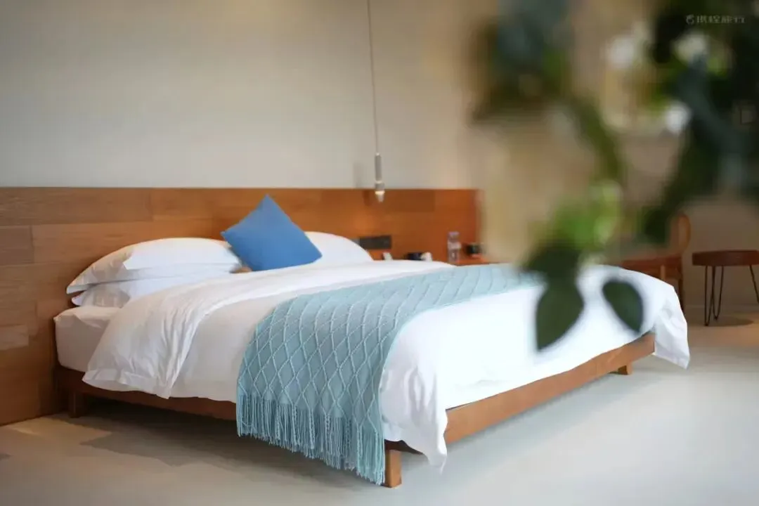 cfcae6d9521a2ec257f040fd36c6a620-sz_54126