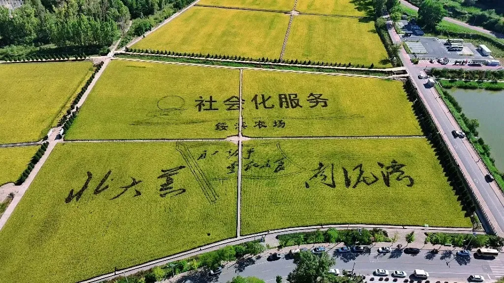 cfdac201aa8e8065b85191b41cc94404-sz_333687