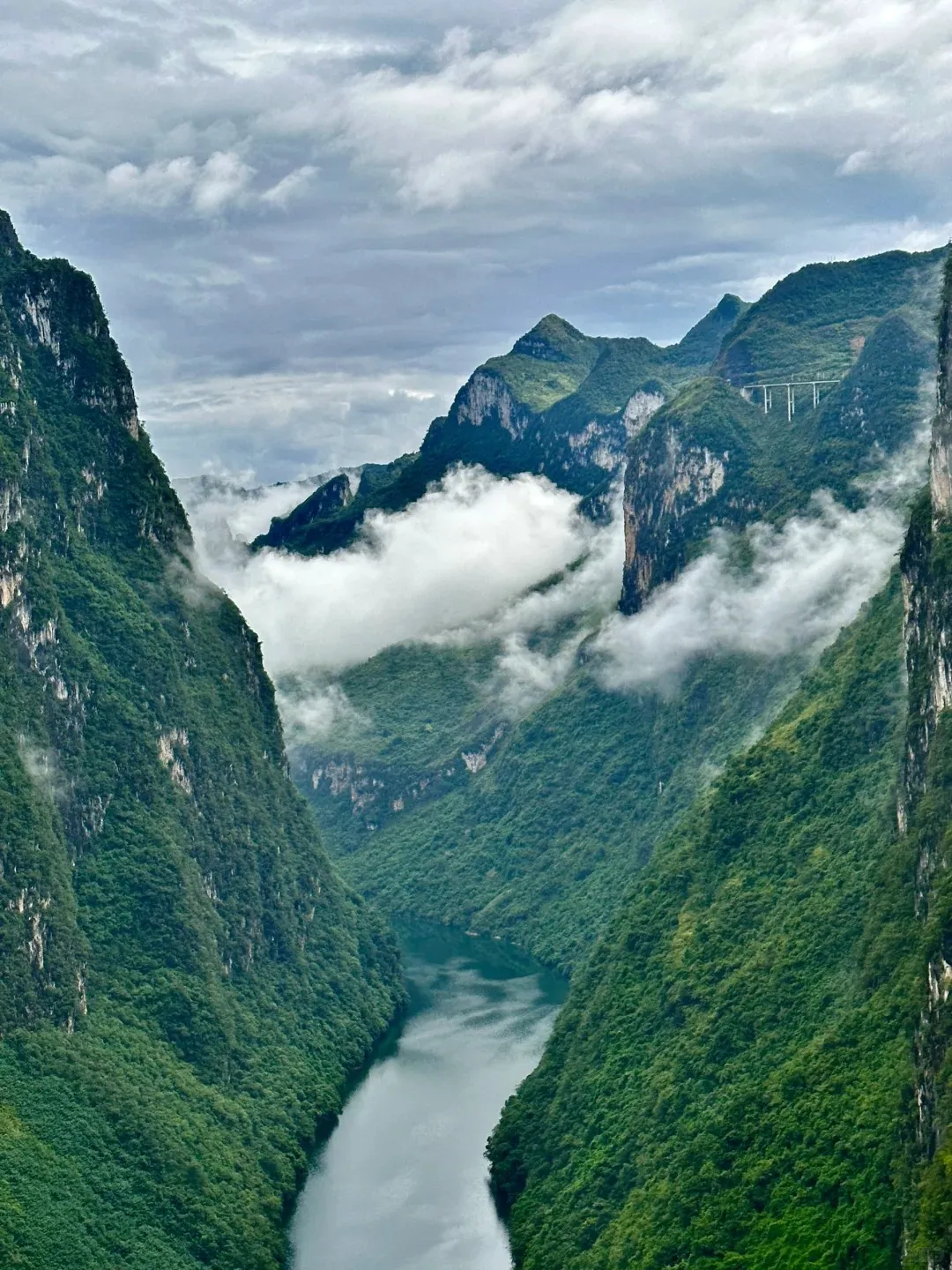 d084067a446343105d8607152d897c43-sz_470631