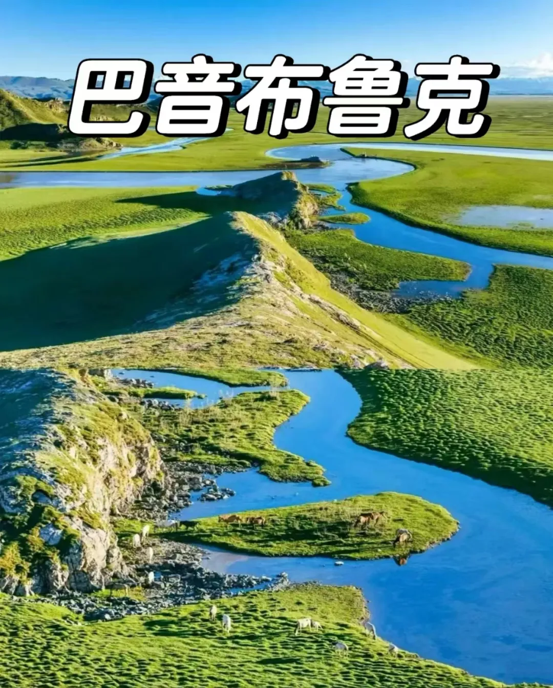 d1b62356d779bb63a4a50de3f69e1868-sz_4708317-1