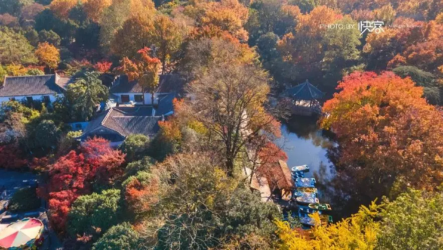 d20d5b9afc707a913e481a22e76b99e7-sz_127704