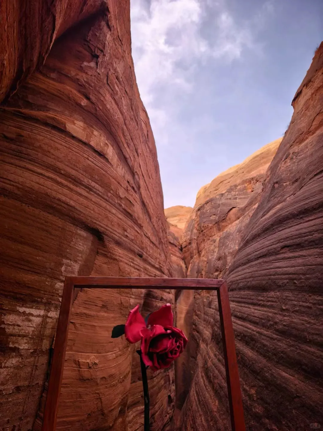 d21c1eb30744c2660abb5310c195a895-sz_342537