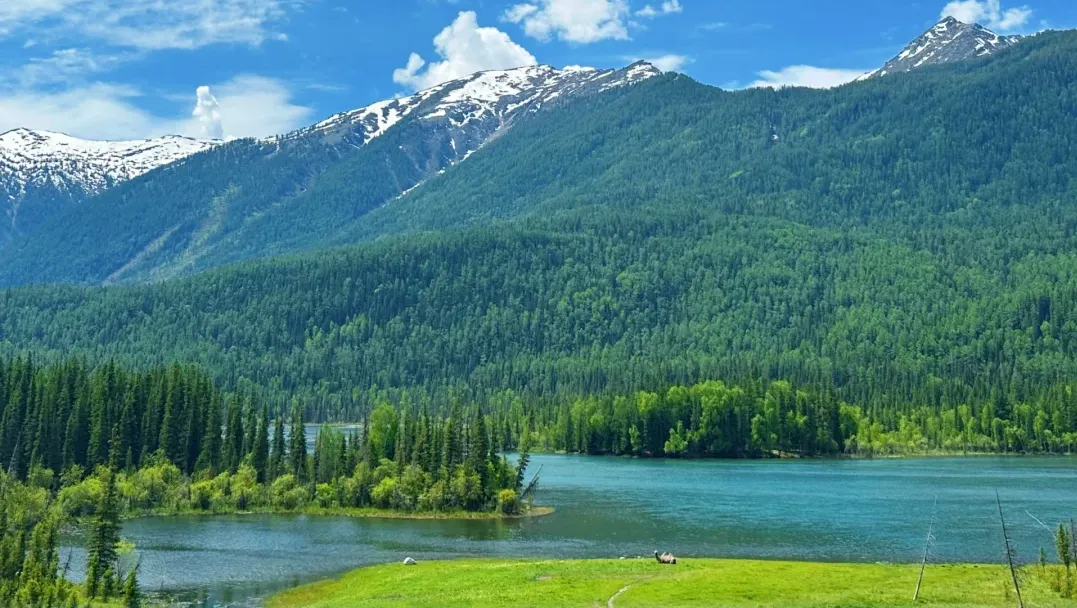 d2e3d3f875d250481d570b9561126516-sz_3601500