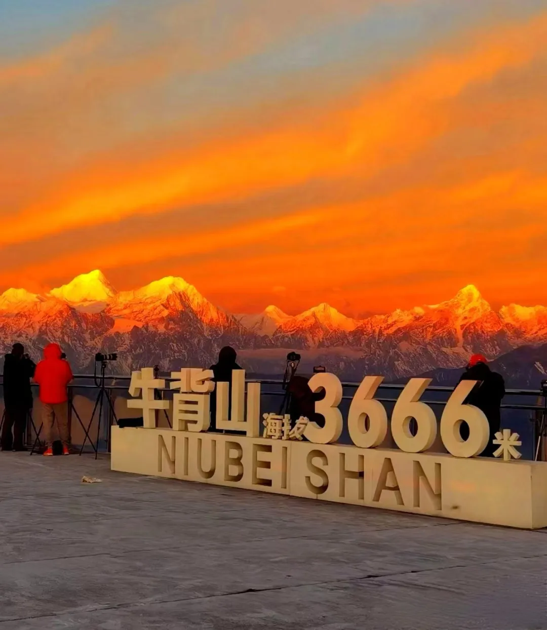 d38babb77319cf9b330e7d6ff38bd0a3-sz_457500