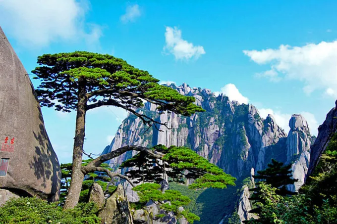 d46e5eba602a4ab9caa1d23ecaca4c9b-sz_150124