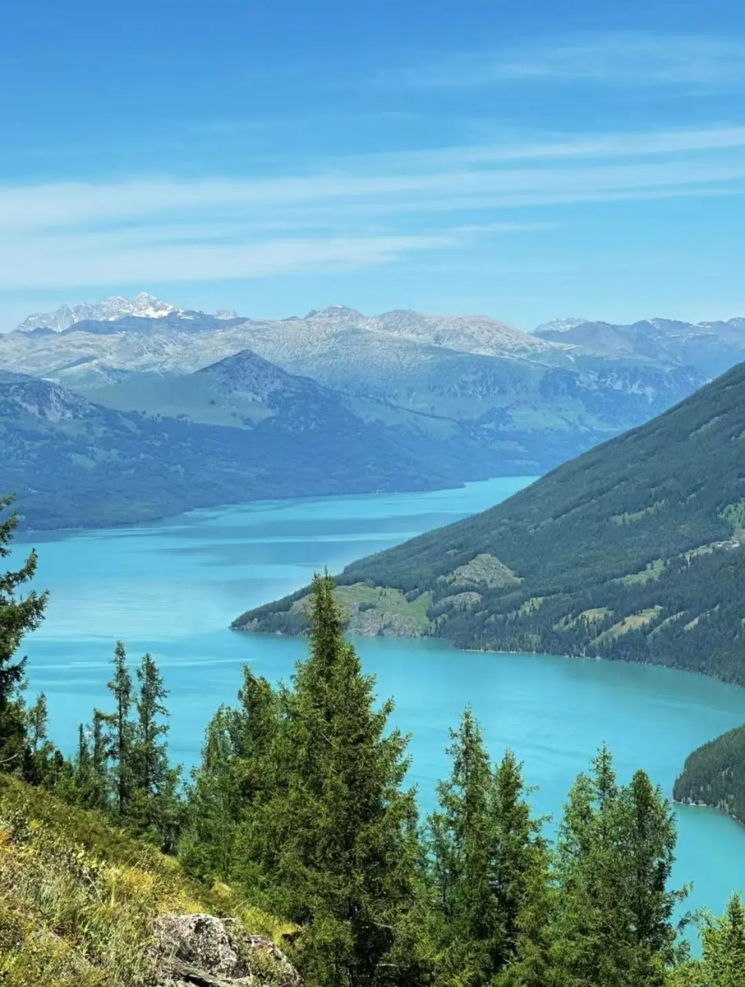 d52f0a9658e35e8a6998c0ea337d39a8-sz_284649