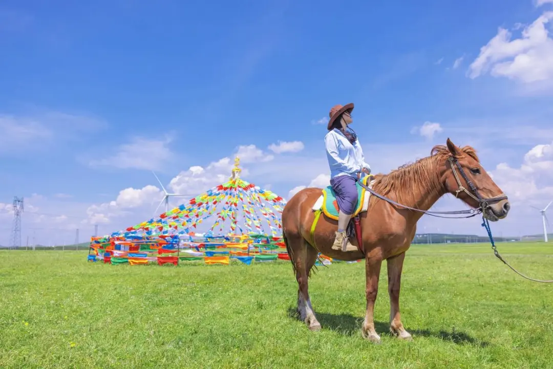 d5409eea73fee2d4ca541900600b7483-sz_138032