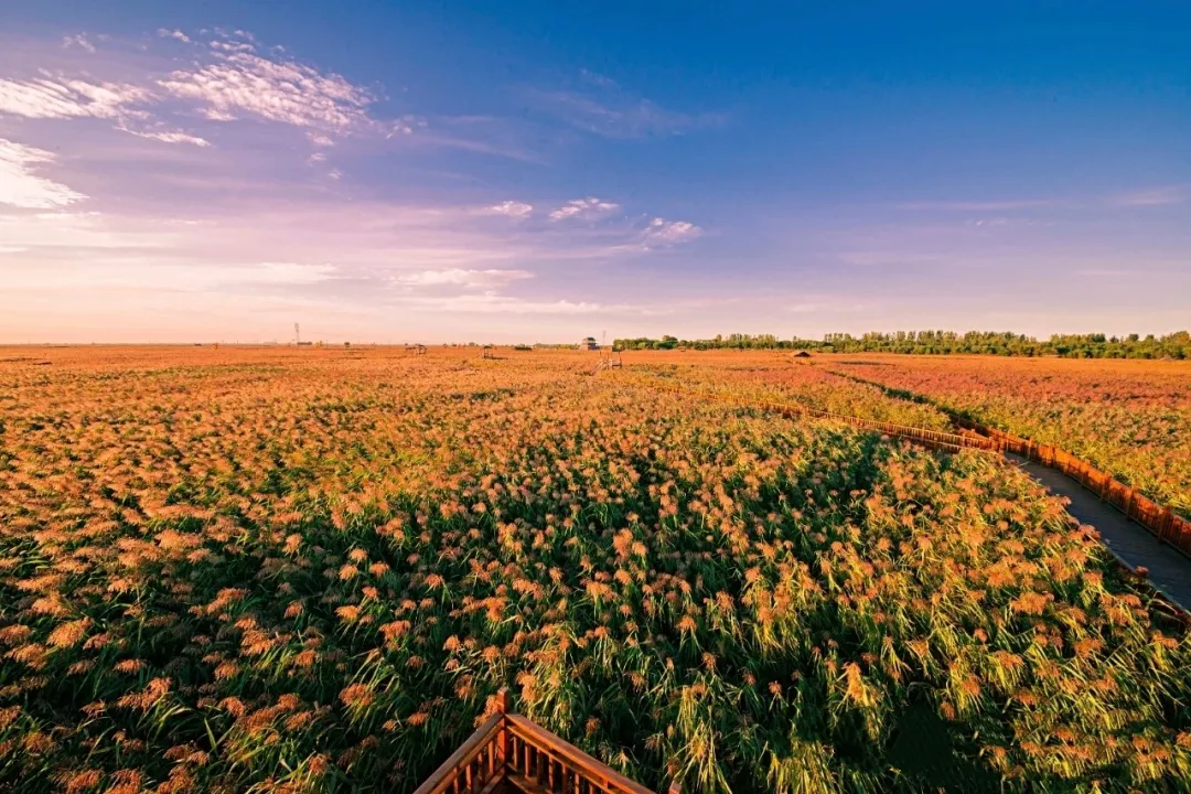 d637fcf612f646ae7efcae2c9080d2ae-sz_2384867