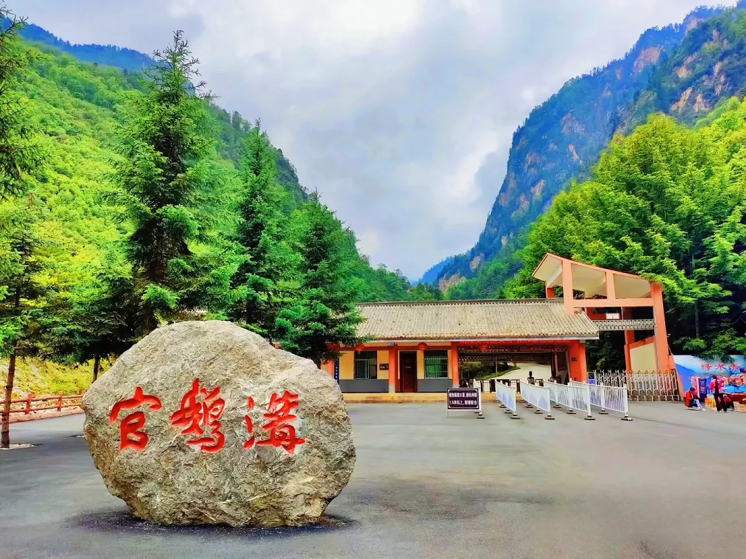 d6ac544dc369775a3a91159c225d2263-sz_2303364