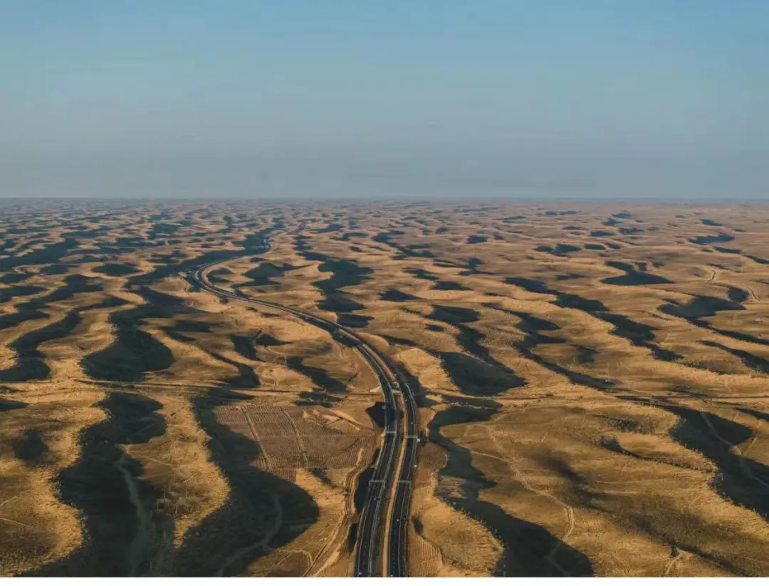 d6dfd6789c71e43120ff665289e77a7a-sz_144422