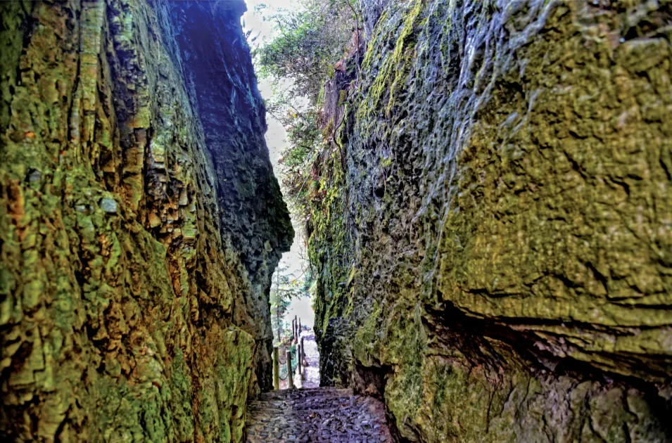 d791d65db26461371e898fa64c1ca0f2-sz_1617552