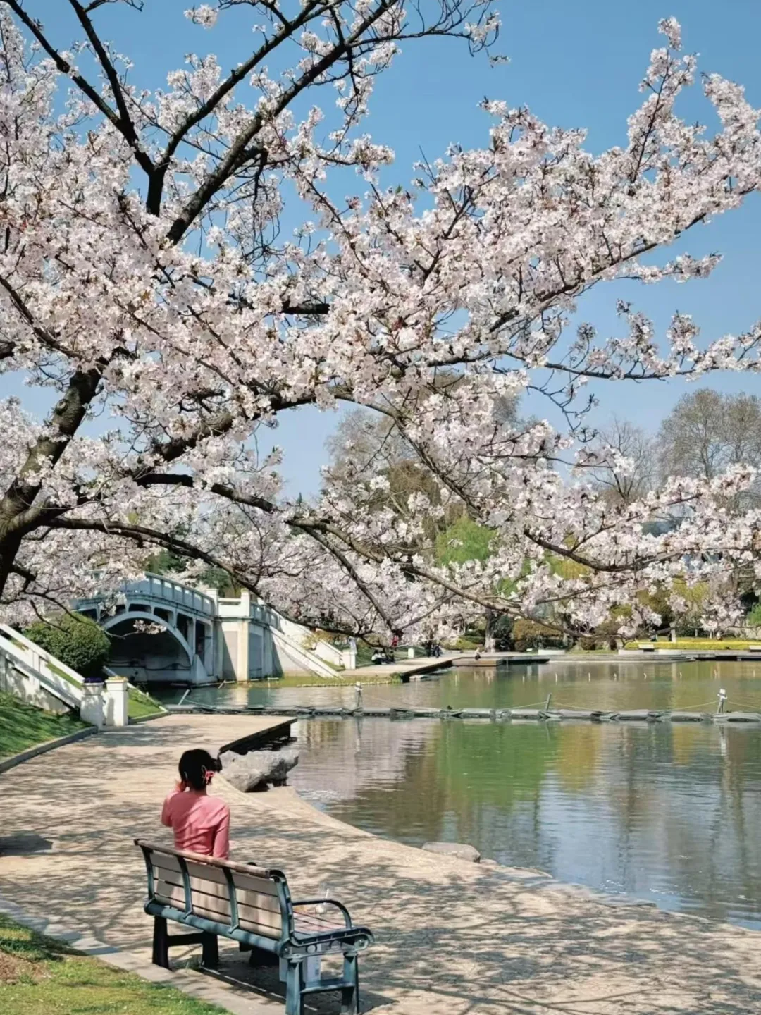 d87dba0177874c85eb807433550da89a-sz_1088543