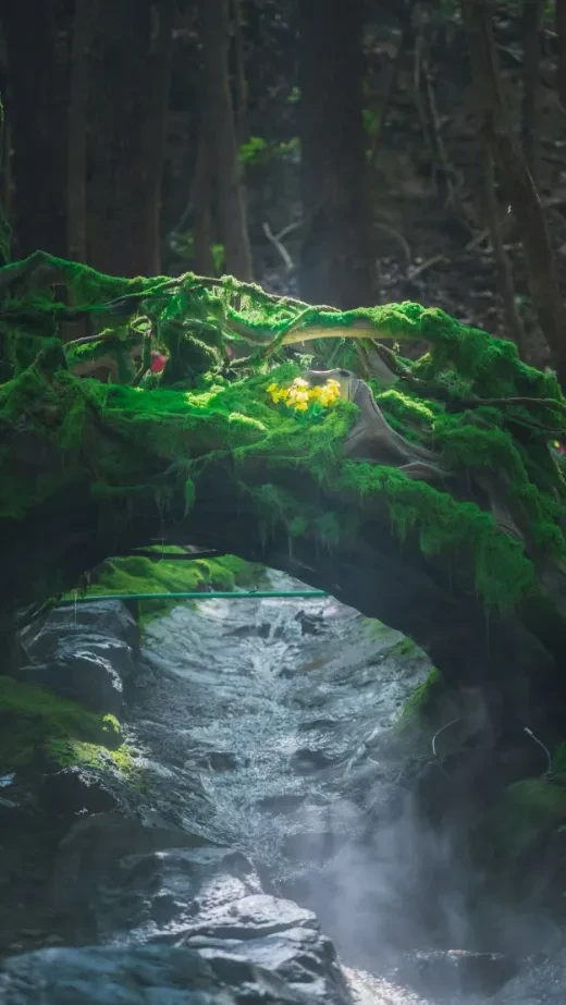 d977f28124fe560332df9083a267aa87-sz_914445