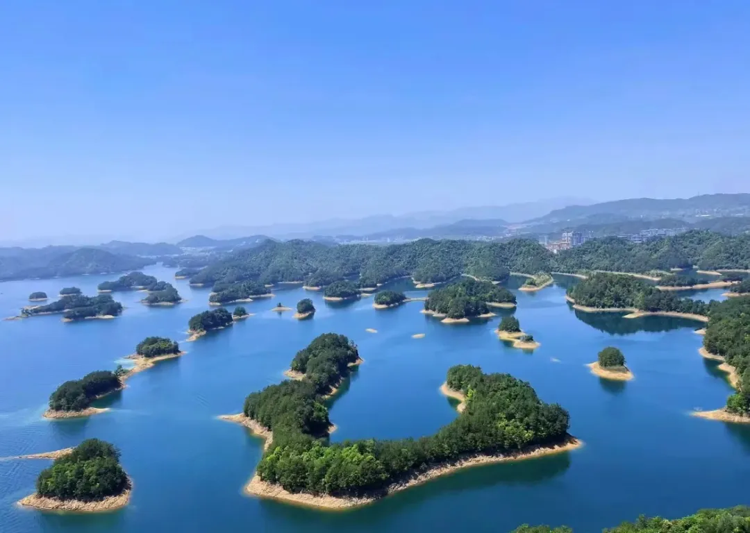 da764a70c4661f3558aebee19511f705-sz_175598-1