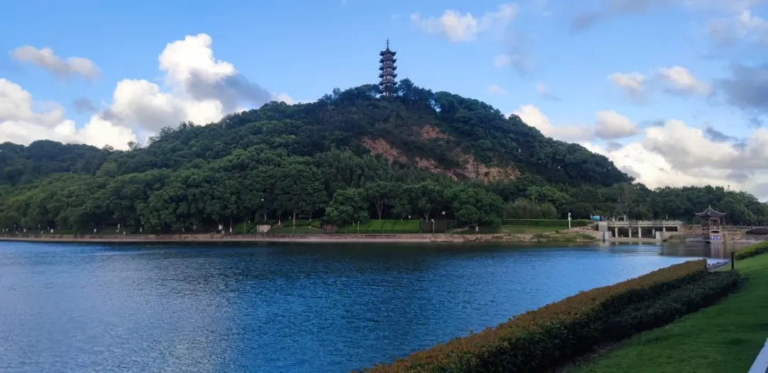 daa736e9210f55046396af3c0d7c2950-sz_157365-1