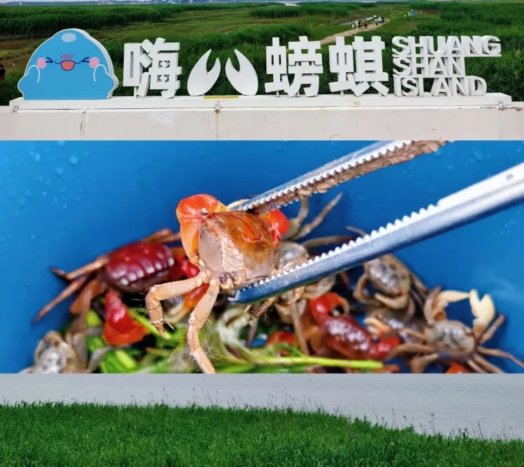 db84b7ae8b215cf14a73d1941046dcd4-sz_1110163