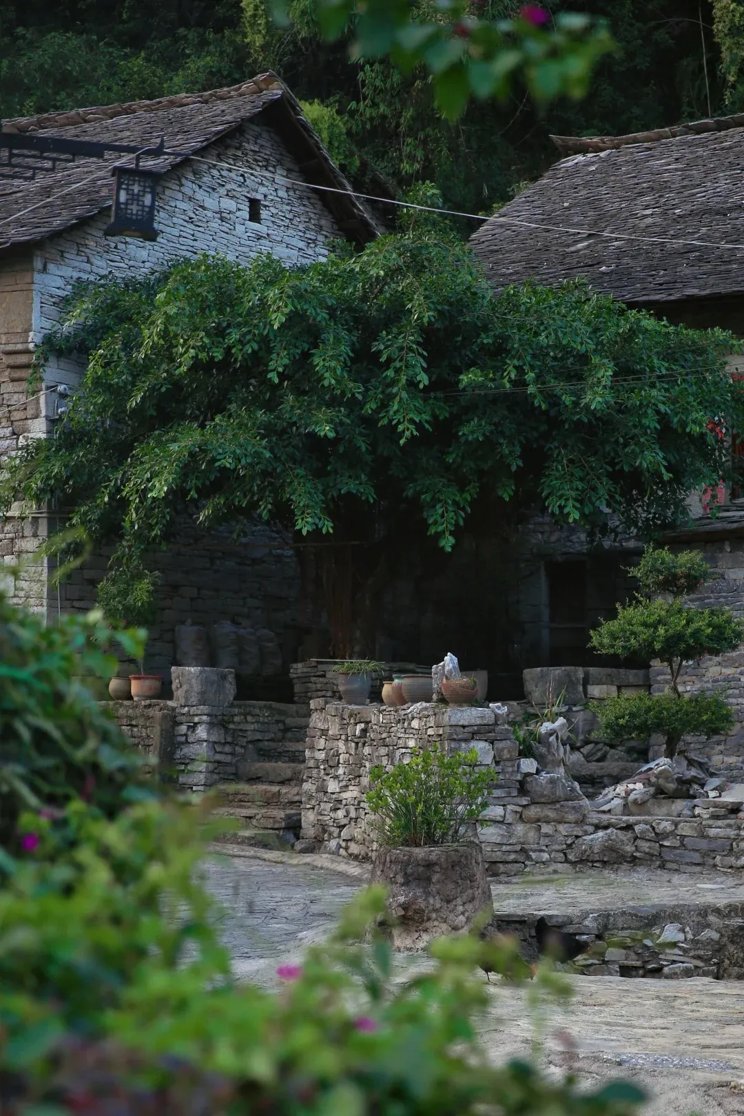 dc233cb3bb8565088ad2d32d4c706296-sz_560488