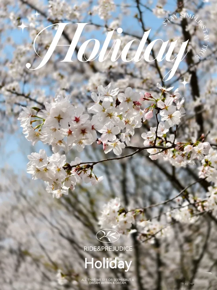 dce38cf1281326598ef3fd838794b381-sz_1478239