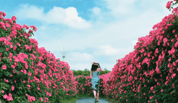 dea8d0eeca1c30b1f44a2fab684803b9-sz_3419188