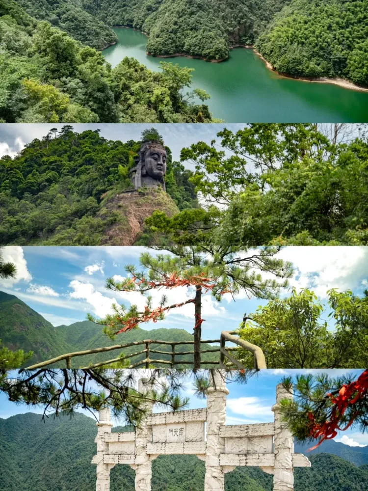 ded259196305880ce6f244b6017495f4-sz_3951155