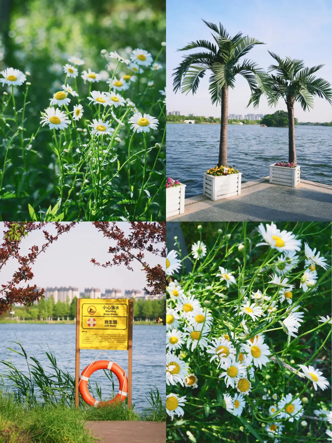 df144e8c23c205f8bafc3254c6411d29-sz_803495-1