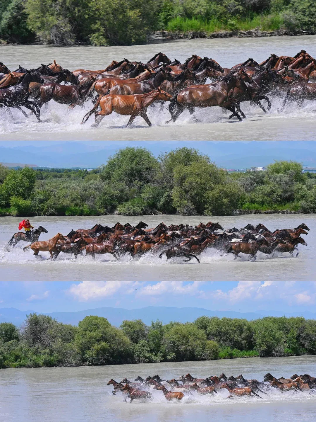 df730865e8877aa0541ce7b48112c76e-sz_2960510