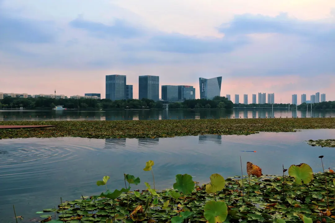 【四城联动★诗意江南★送双夜游】299纯玩跟车四日 连住三晚当地酒店 洗漱用品空调全含 棋牌免费畅打 升级特色美食 游华西村+鹅鼻嘴+桃花坞+黄泗浦