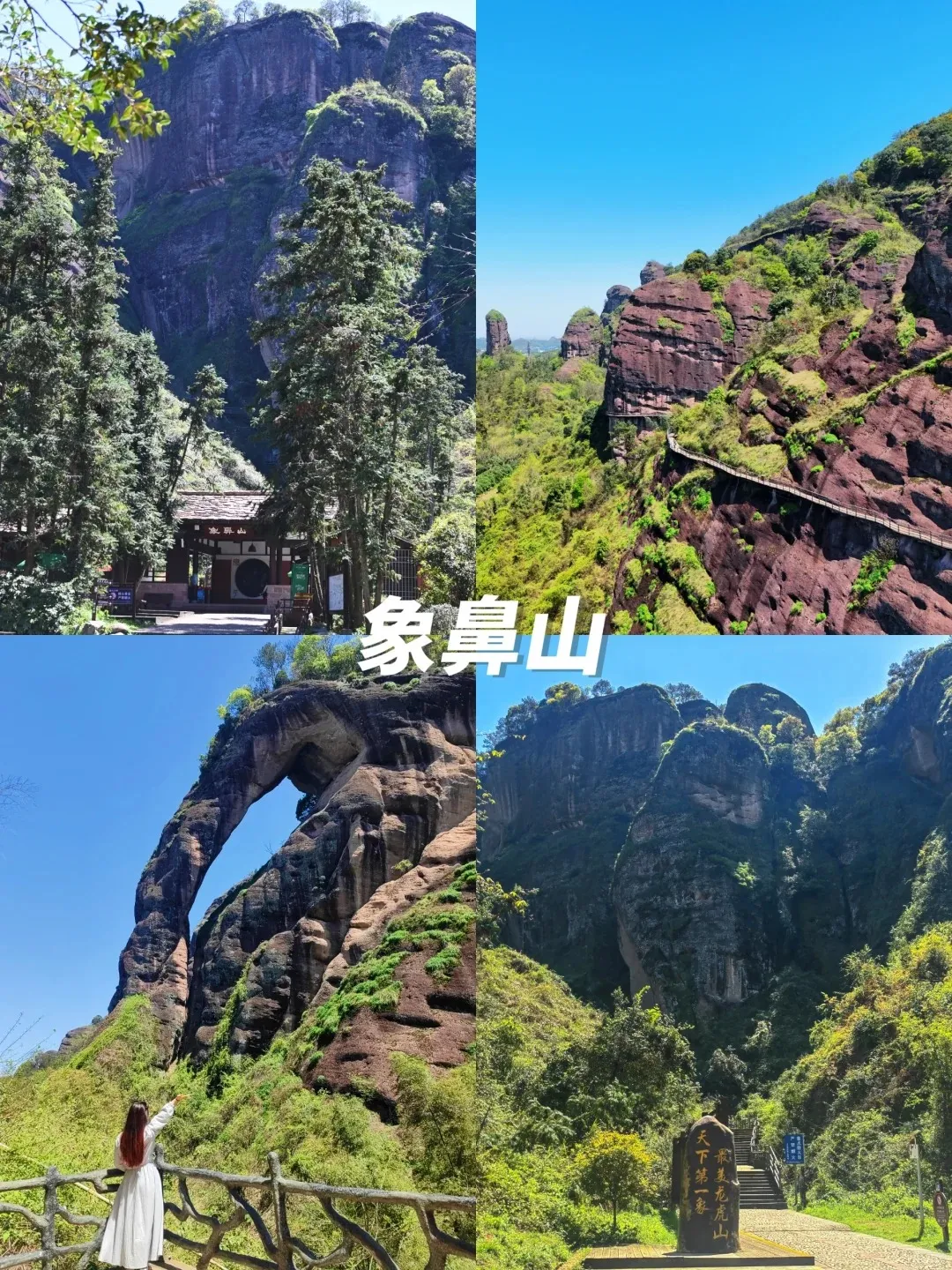 e0413616a4eb5ece6689a9d8e7d783bb-sz_663261