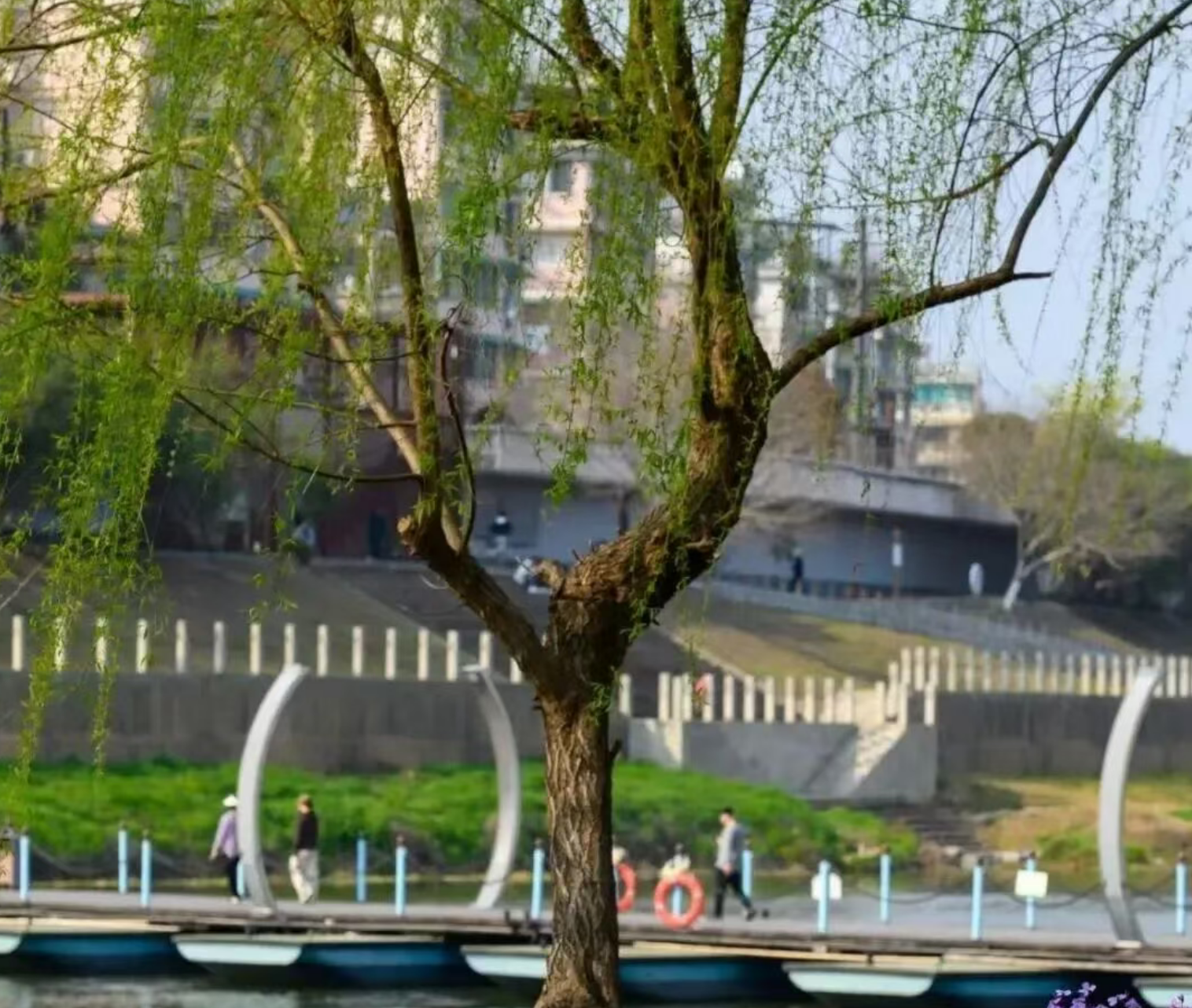 e06297f3201893b9ecca57f7537346c5