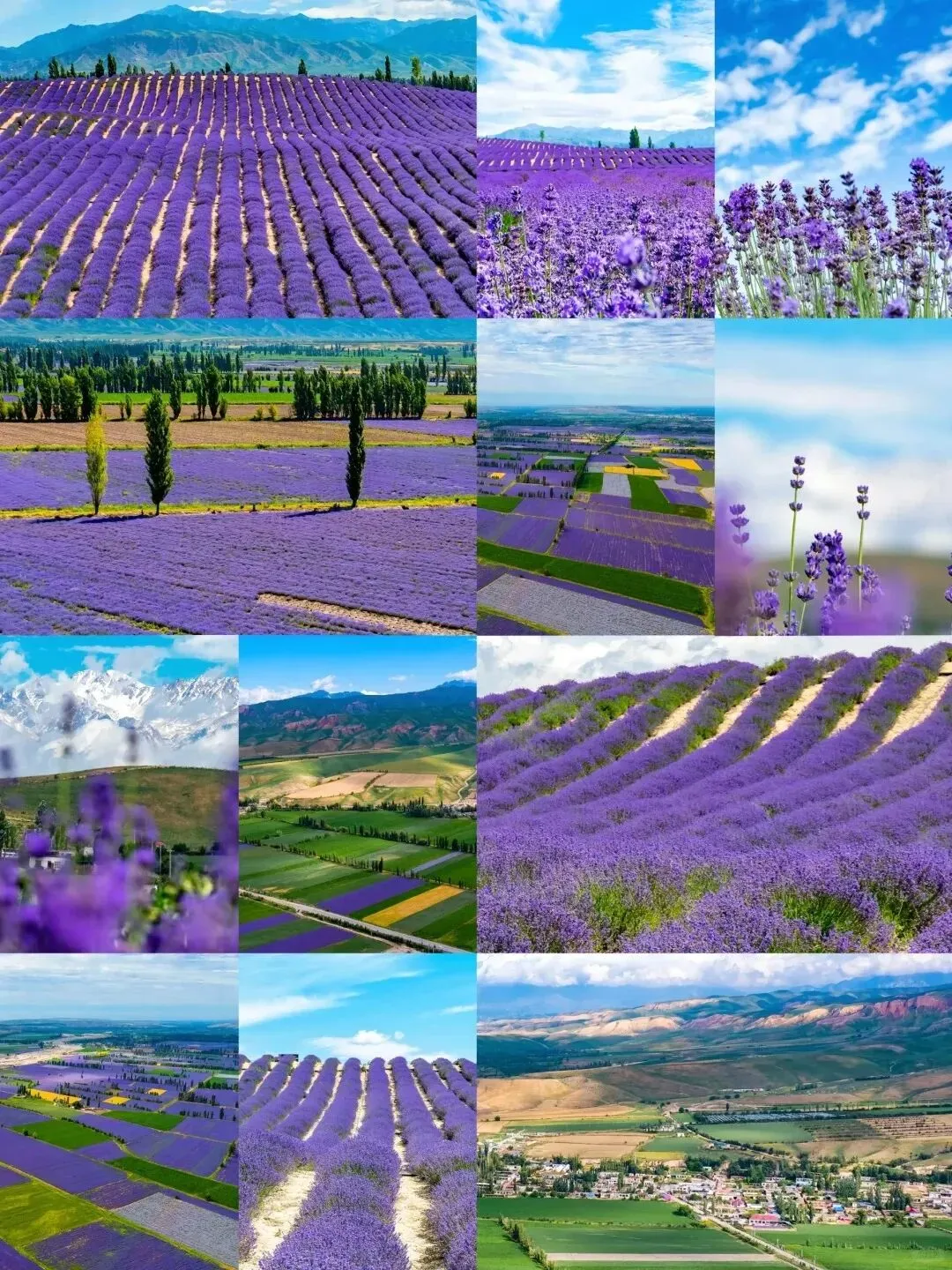 e21a6b97160e8e355bb8981a04aaa414-sz_382032