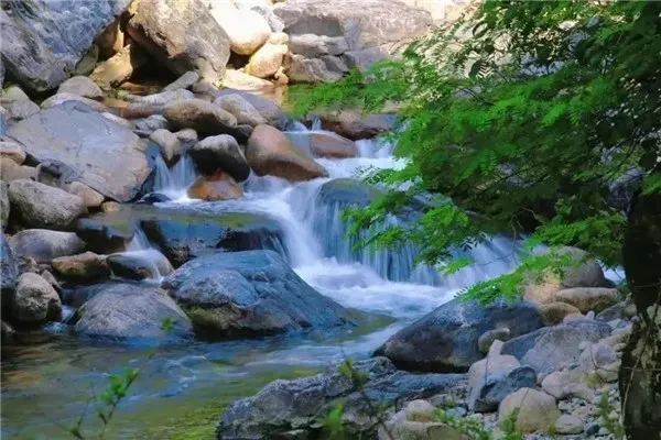 e4751689476804925de15408d16d6a77-sz_83951-1