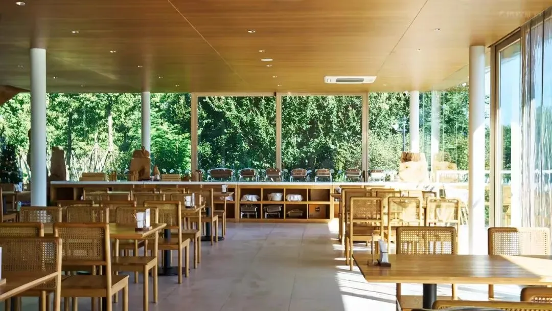 e5228f329055179a1409de3053bfec17-sz_138883