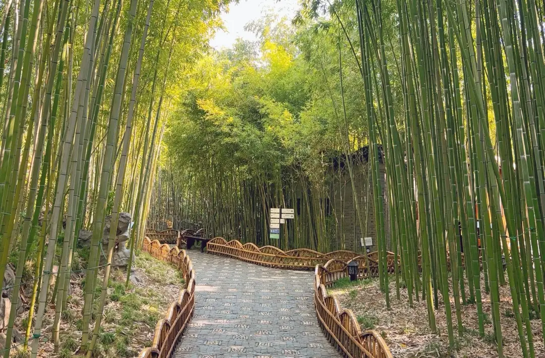 e526d877905dddc53ccbd9cbc6de4178-sz_1482347-1