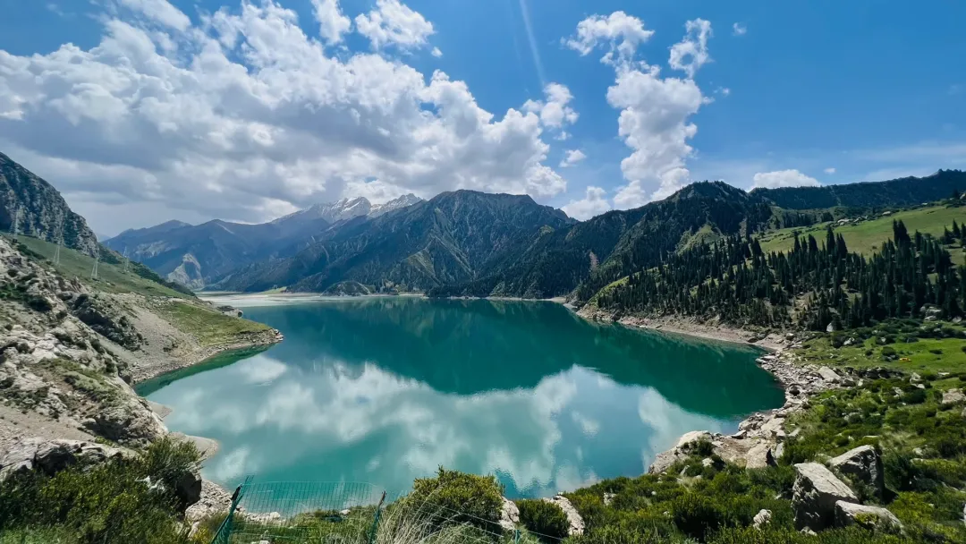 e6131087f2512c8b8bdbfe8e26c0b0d5-sz_4003860