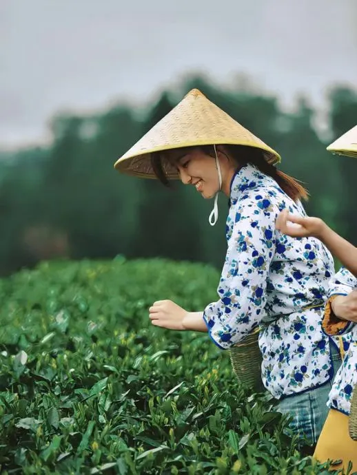 e7a606c87b19d17e749571109cff3a5d-sz_703336