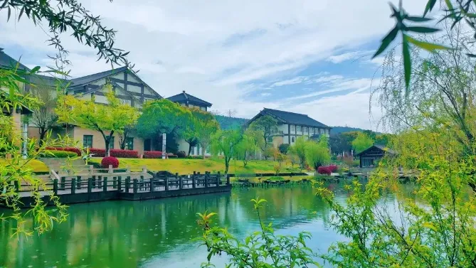 e826ce287b5a2ff0f853cc2f998309ee-sz_494295