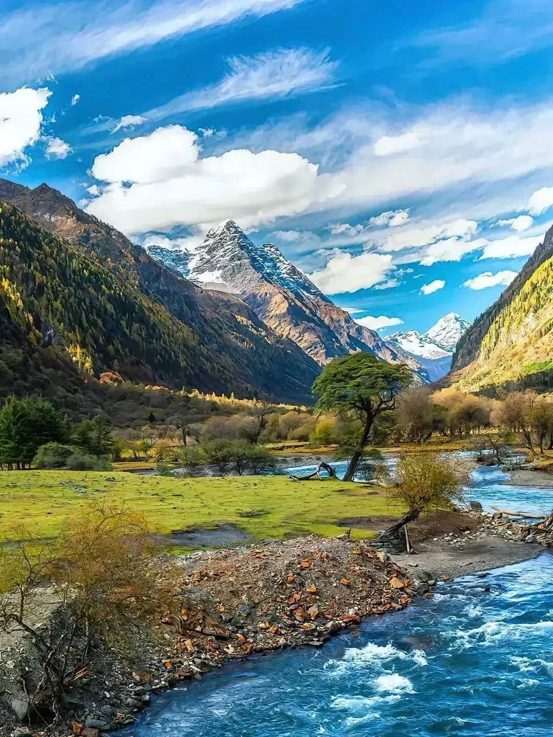 e8fe10bfc48c3d0784de05e3dea34c74-sz_3571232