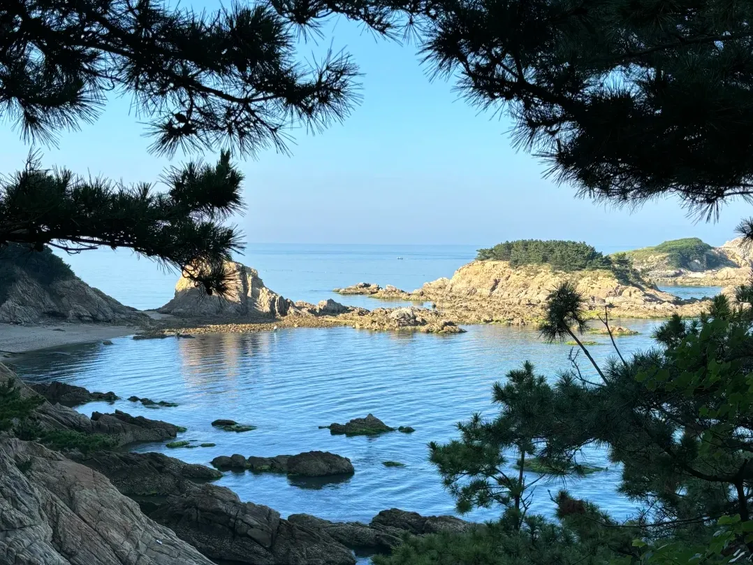 e9929f9c6e35b4b2ff7b48f5d1265f49-sz_2906925