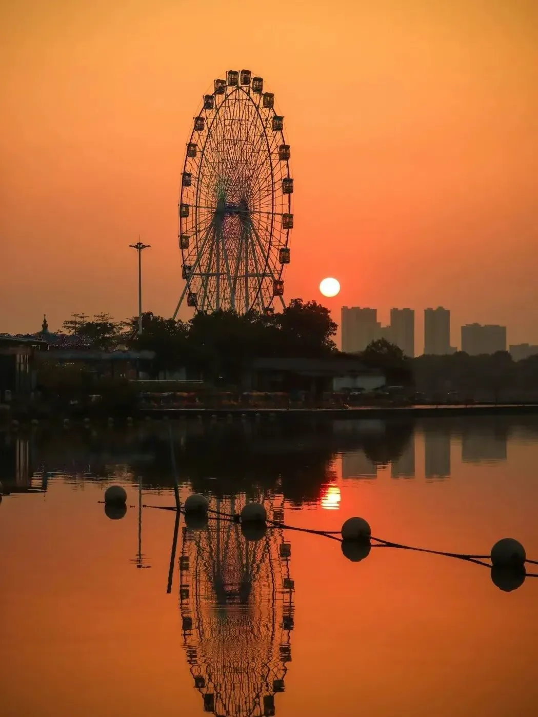 e9d87a0ac891815fefbdc51ea65832d2-sz_1021235