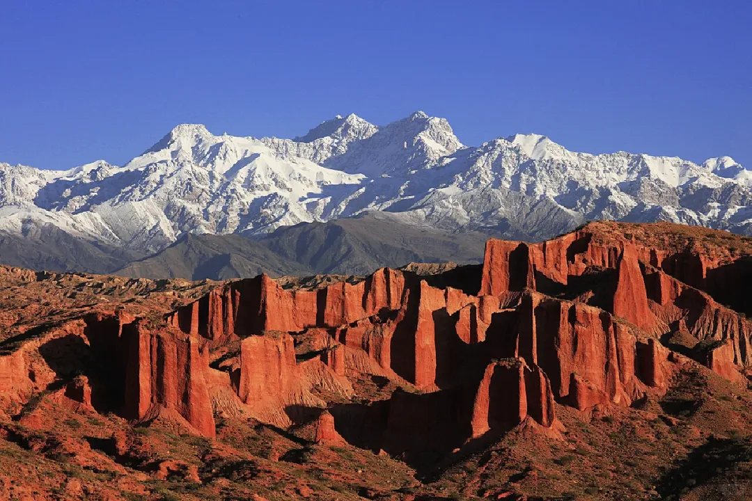 ea58404adc6312414e2335d3ed55e751-sz_2221847