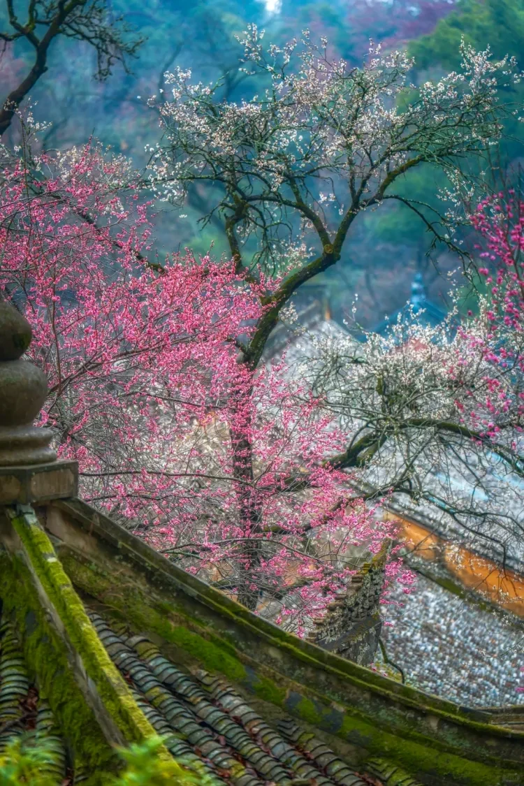 ea9c44d55be6085e022d5c9ca96ab4f3-sz_4561388