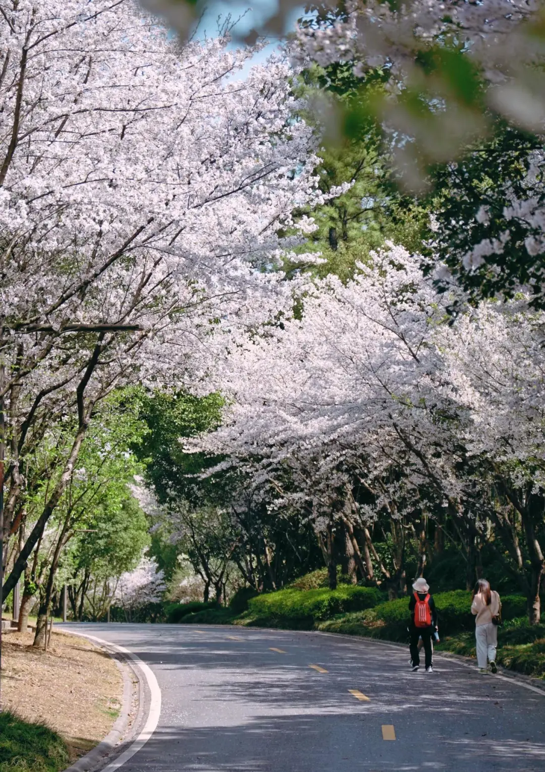 eb7e949209802bfcdbbecfad28c3ad4e-sz_669795