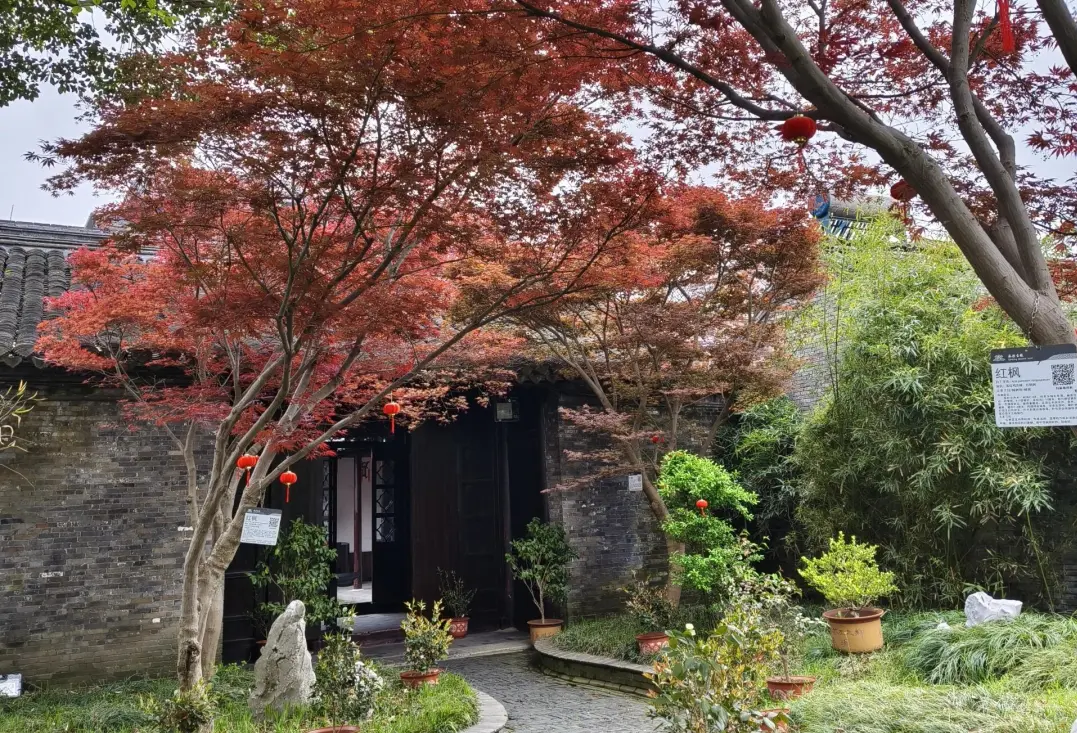 ed594c387f6b5f57e6e11d23e7fb4693-sz_1487509