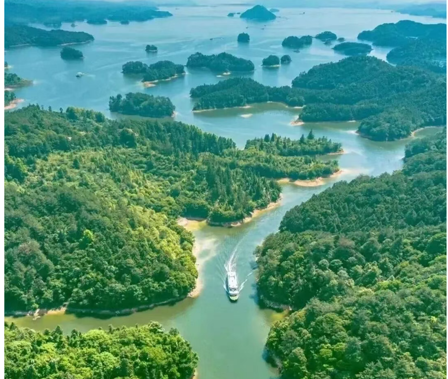 ee09d1903e59b4d213a5af95d9ec8b90